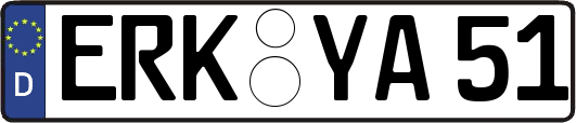 ERK-YA51