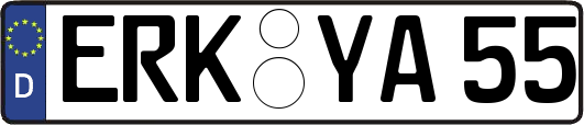 ERK-YA55