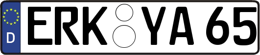 ERK-YA65