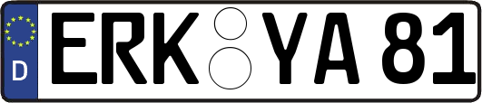 ERK-YA81