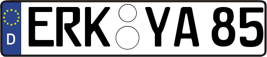 ERK-YA85