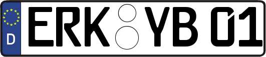 ERK-YB01