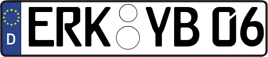 ERK-YB06