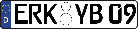ERK-YB09