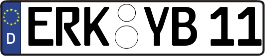 ERK-YB11