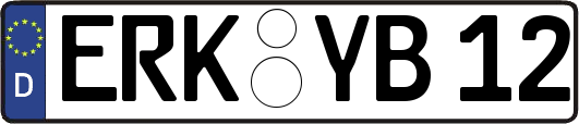 ERK-YB12