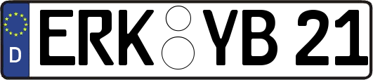 ERK-YB21