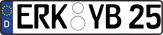 ERK-YB25