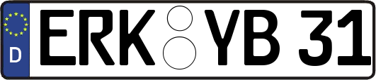 ERK-YB31