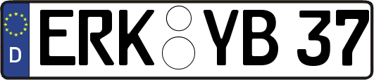 ERK-YB37