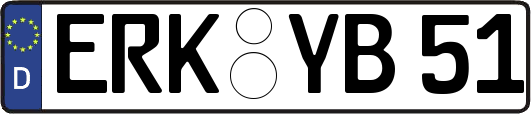 ERK-YB51