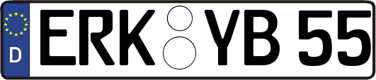 ERK-YB55