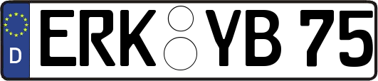 ERK-YB75