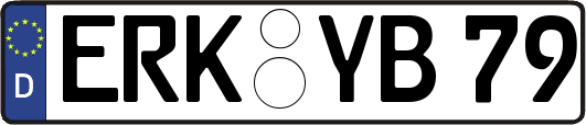 ERK-YB79