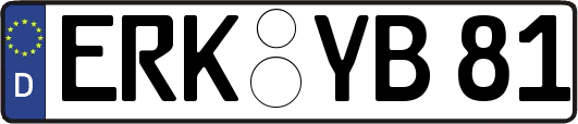 ERK-YB81