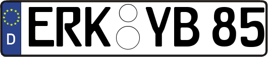ERK-YB85