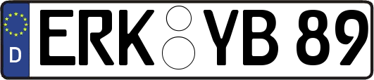 ERK-YB89