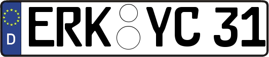 ERK-YC31