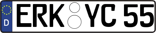ERK-YC55