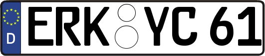 ERK-YC61