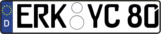 ERK-YC80