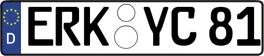 ERK-YC81