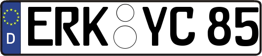 ERK-YC85