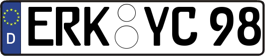ERK-YC98