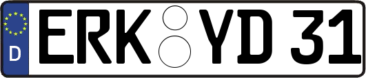 ERK-YD31