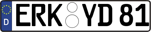 ERK-YD81