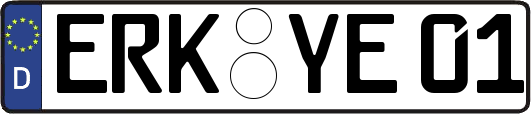 ERK-YE01