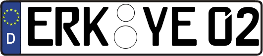 ERK-YE02