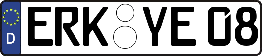 ERK-YE08