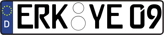 ERK-YE09