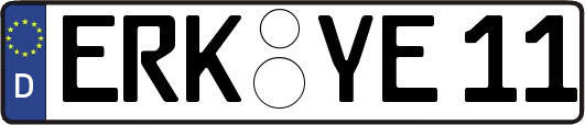 ERK-YE11