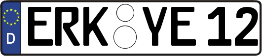 ERK-YE12