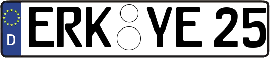 ERK-YE25