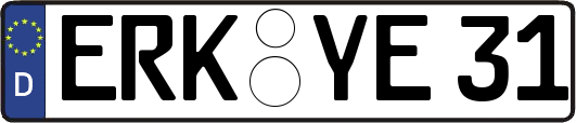 ERK-YE31
