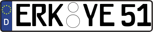ERK-YE51