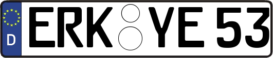 ERK-YE53
