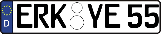 ERK-YE55