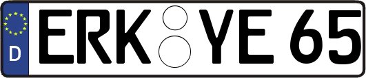 ERK-YE65