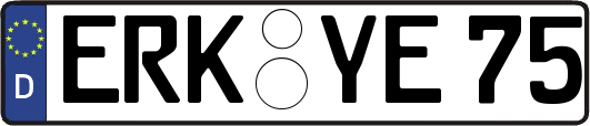 ERK-YE75