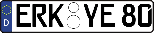 ERK-YE80