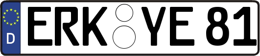 ERK-YE81