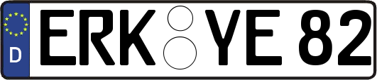 ERK-YE82