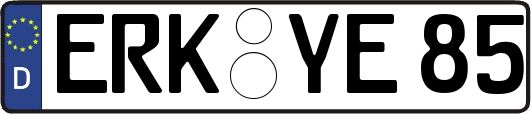 ERK-YE85