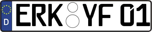 ERK-YF01