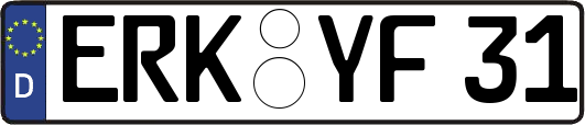 ERK-YF31