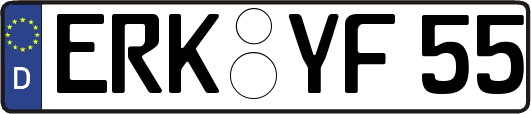 ERK-YF55